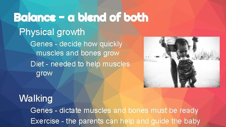 Balance - a blend of both Physical growth Genes - decide how quickly muscles