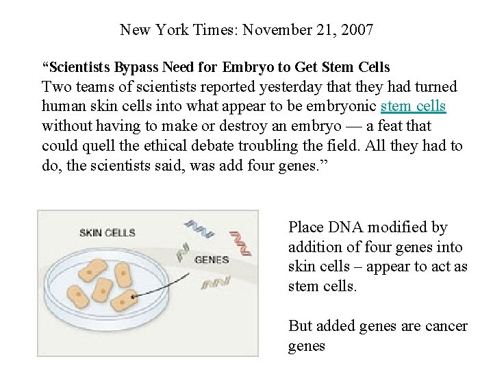 New York Times: November 21, 2007 “Scientists Bypass Need for Embryo to Get Stem
