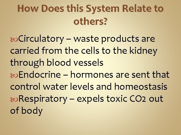 How Does this System Relate to others? Circulatory – waste products are carried from How Does this System Relate to others? Circulatory – waste products are carried from