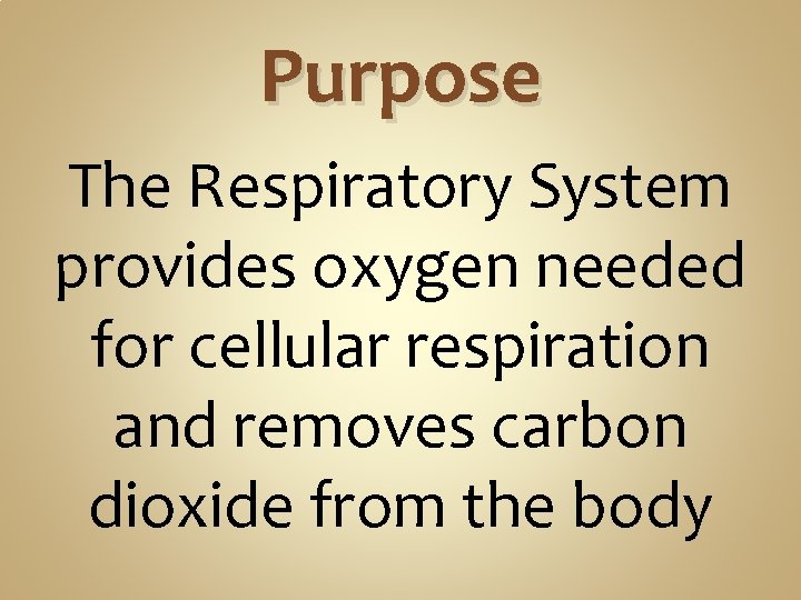Purpose The Respiratory System provides oxygen needed for cellular respiration and removes carbon dioxide Purpose The Respiratory System provides oxygen needed for cellular respiration and removes carbon dioxide