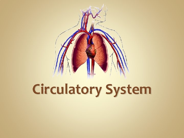 Circulatory System Circulatory System