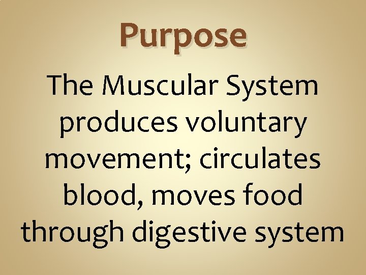 Purpose The Muscular System produces voluntary movement; circulates blood, moves food through digestive system Purpose The Muscular System produces voluntary movement; circulates blood, moves food through digestive system