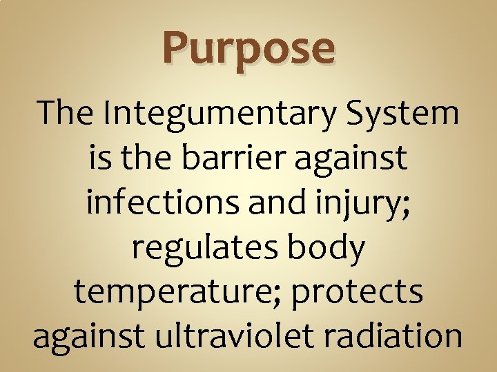 Purpose The Integumentary System is the barrier against infections and injury; regulates body temperature; Purpose The Integumentary System is the barrier against infections and injury; regulates body temperature;