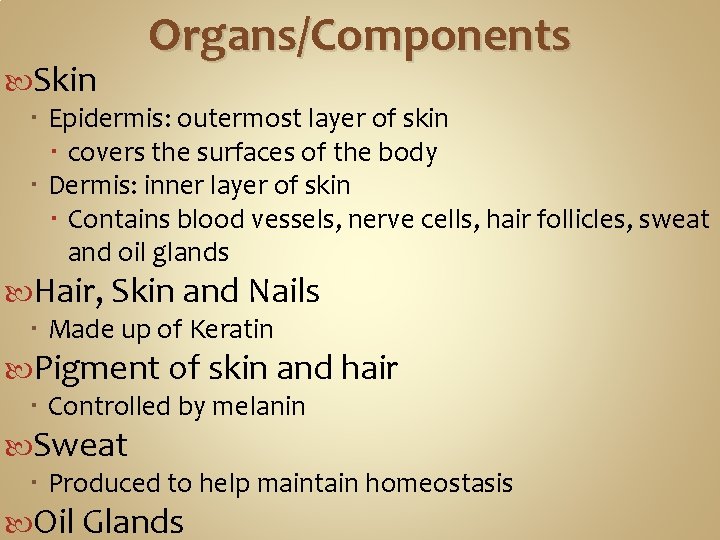Organs/Components Skin Epidermis: outermost layer of skin covers the surfaces of the body Dermis: Organs/Components Skin Epidermis: outermost layer of skin covers the surfaces of the body Dermis: