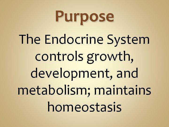 Purpose The Endocrine System controls growth, development, and metabolism; maintains homeostasis Purpose The Endocrine System controls growth, development, and metabolism; maintains homeostasis