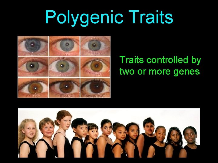Polygenic Traits controlled by two or more genes 