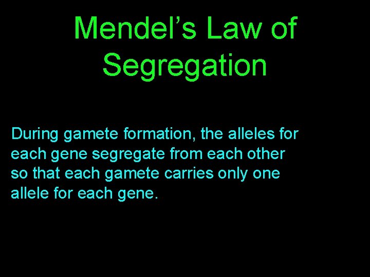 Mendel’s Law of Segregation During gamete formation, the alleles for each gene segregate from