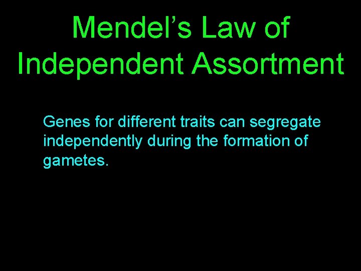 Mendel’s Law of Independent Assortment Genes for different traits can segregate independently during the