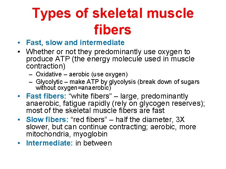 Types of skeletal muscle fibers • Fast, slow and intermediate • Whether or not