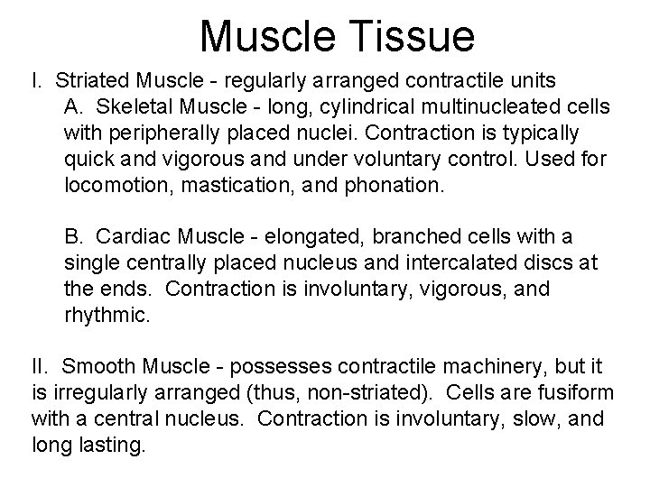 Muscle Tissue I. Striated Muscle - regularly arranged contractile units A. Skeletal Muscle -