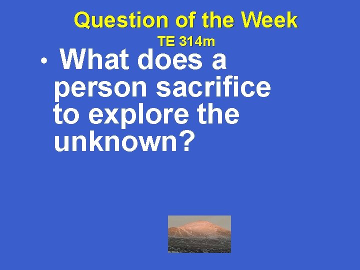 Question of the Week • TE 314 m What does a person sacrifice to