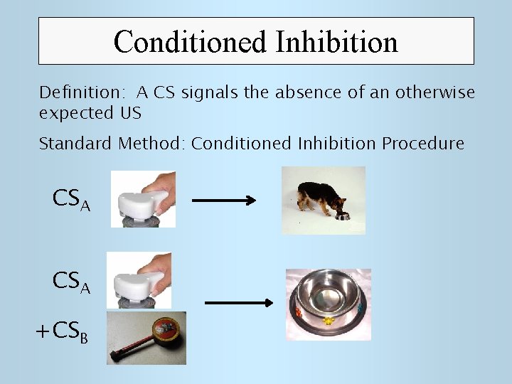 Conditioned Inhibition Definition: A CS signals the absence of an otherwise expected US Standard