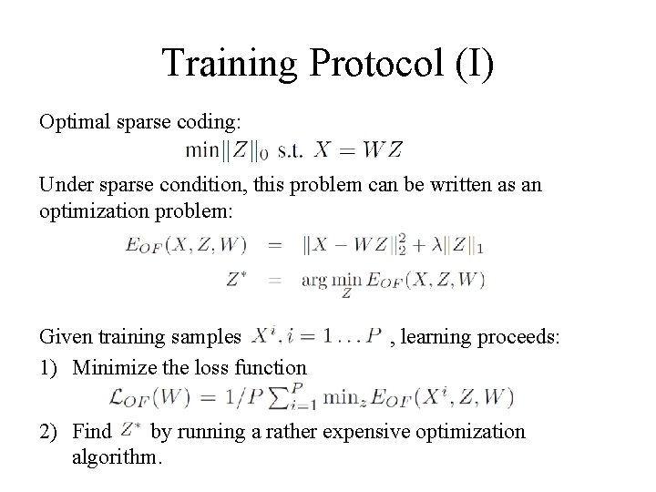 Training Protocol (I) Optimal sparse coding: Under sparse condition, this problem can be written