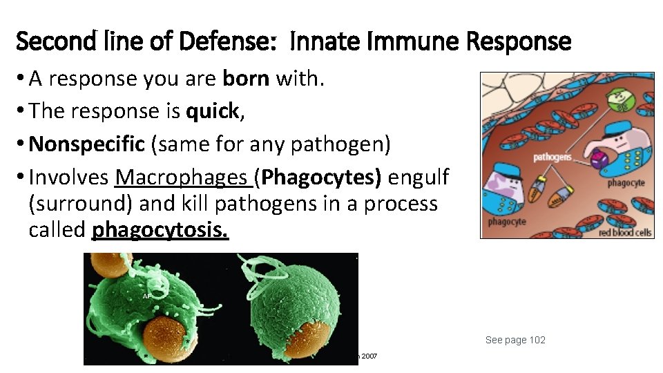 Second line of Defense: Innate Immune Response • A response you are born with.