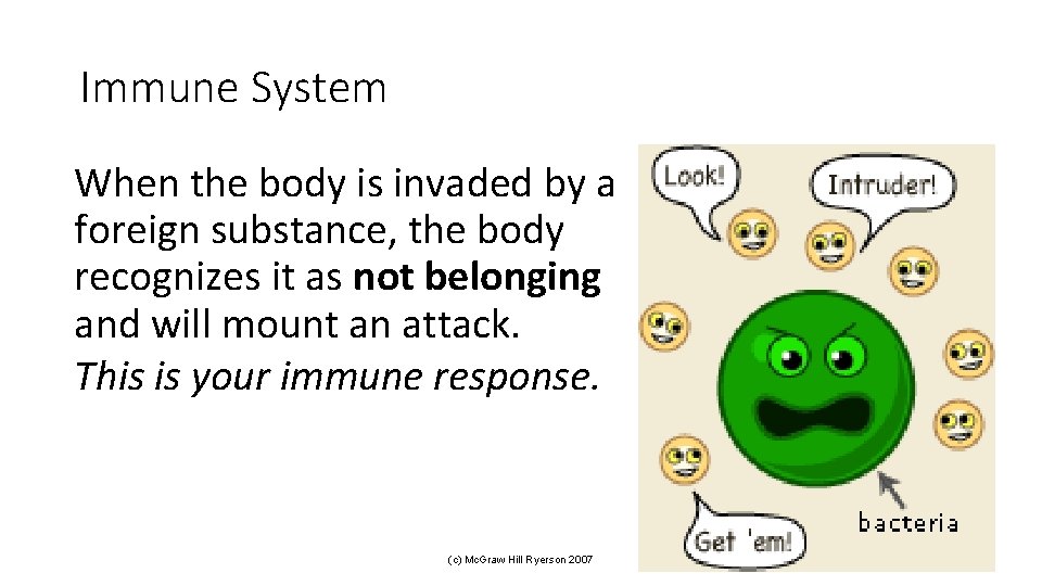 Immune System When the body is invaded by a foreign substance, the body recognizes