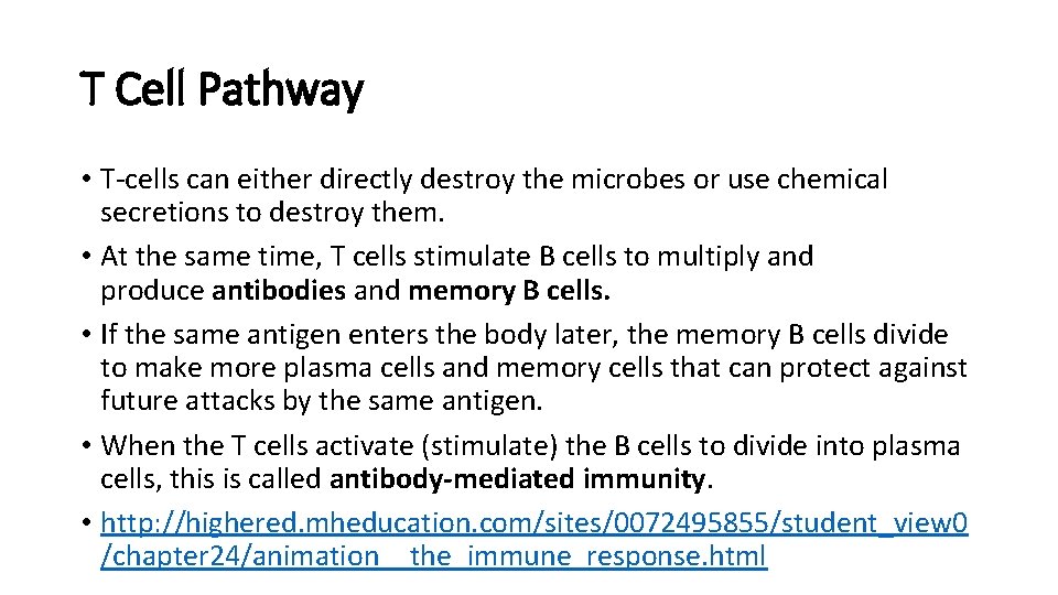 T Cell Pathway • T-cells can either directly destroy the microbes or use chemical