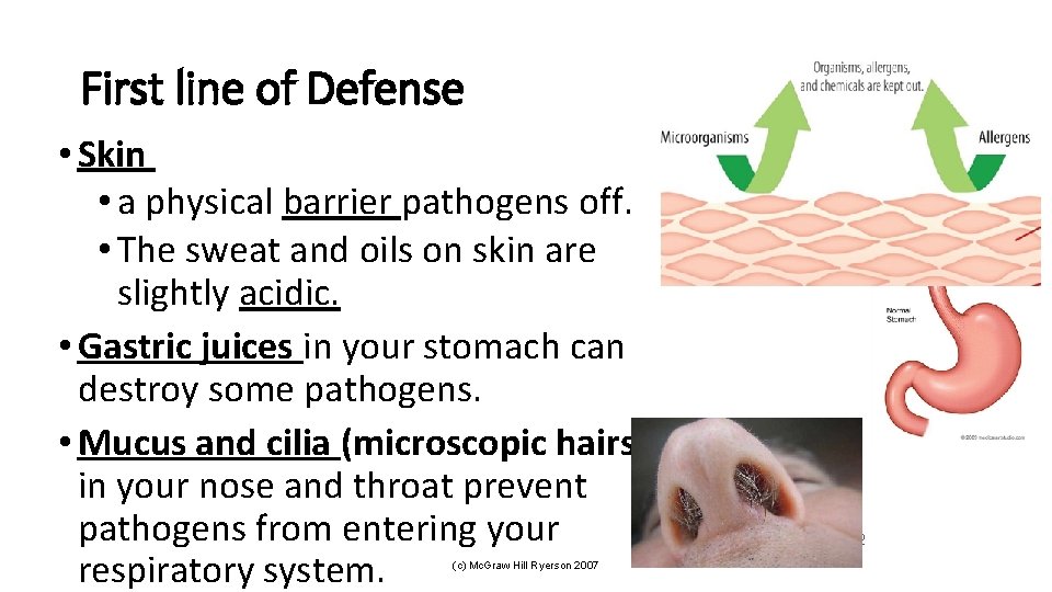 First line of Defense • Skin • a physical barrier pathogens off. • The