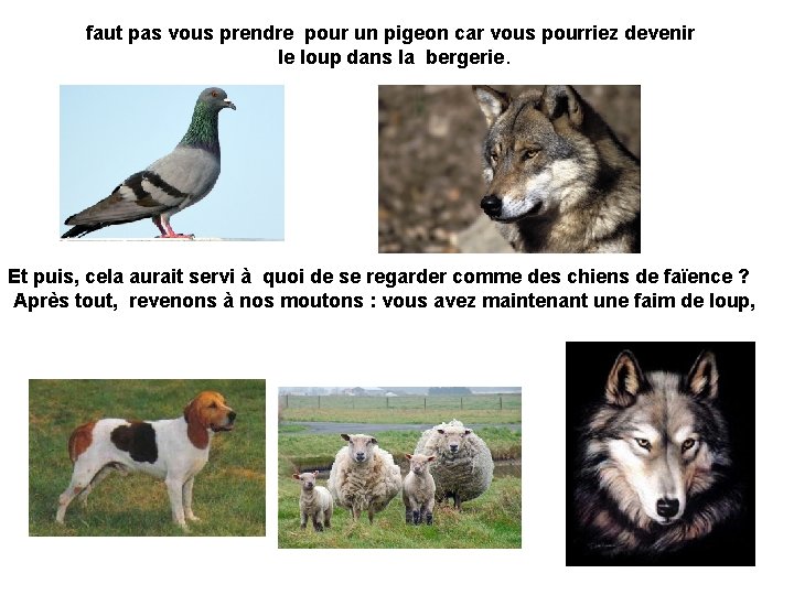 faut pas vous prendre pour un pigeon car vous pourriez devenir le loup dans