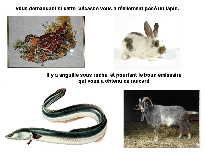 vous demandant si cette bécasse vous a réellement posé un lapin. Il y a