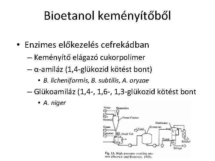Bioetanol keményítőből • Enzimes előkezelés cefrekádban – Keményítő elágazó cukorpolimer – α-amiláz (1, 4