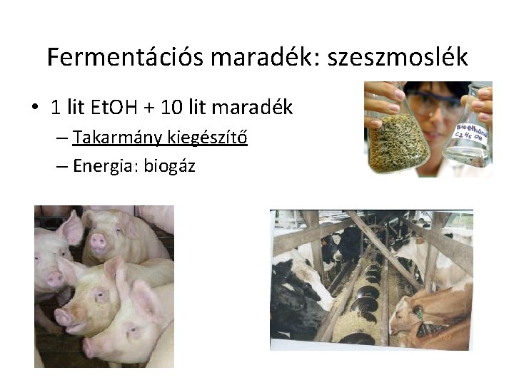 Fermentációs maradék: szeszmoslék • 1 lit Et. OH + 10 lit maradék – Takarmány