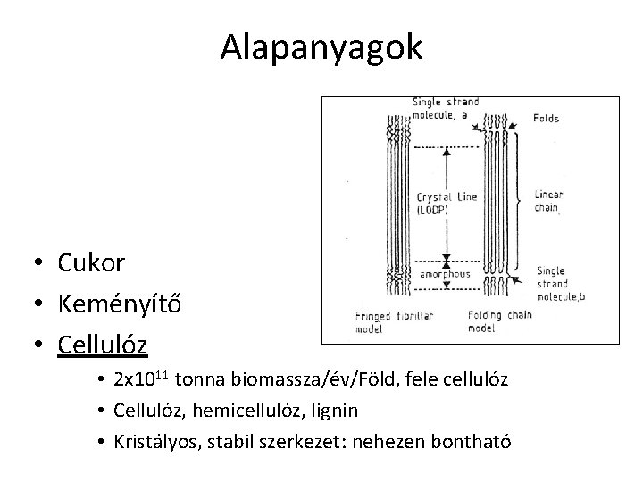 Alapanyagok • Cukor • Keményítő • Cellulóz • 2 x 1011 tonna biomassza/év/Föld, fele