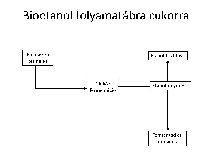 Bioetanol folyamatábra cukorra Biomassza termelés Etanol tisztítás Glükóz fermentáció Etanol kinyerés Fermentációs maradék 