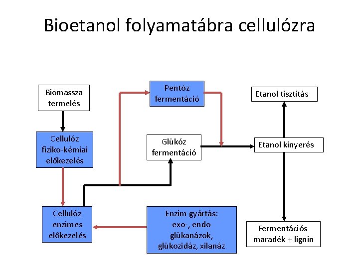 Bioetanol folyamatábra cellulózra Biomassza termelés Cellulóz fiziko-kémiai előkezelés Cellulóz enzimes előkezelés Pentóz fermentáció Glükóz