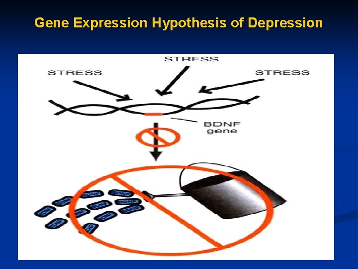 Gene Expression Hypothesis of Depression 