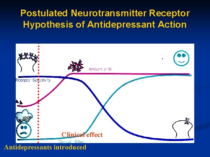 Postulated Neurotransmitter Receptor Hypothesis of Antidepressant Action Clinical effect Antidepressants introduced 