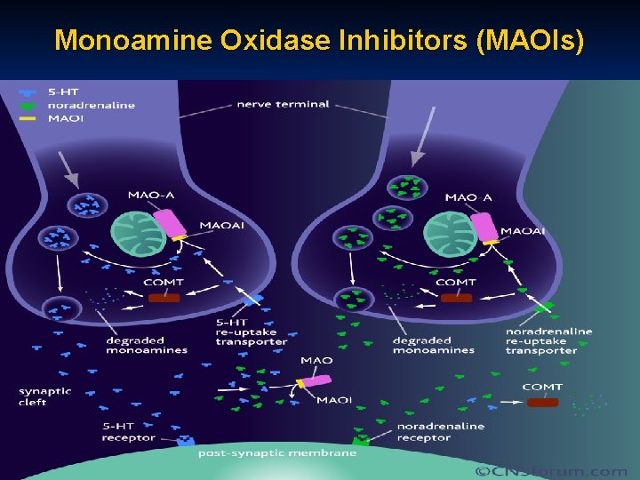 Monoamine Oxidase Inhibitors (MAOIs) 