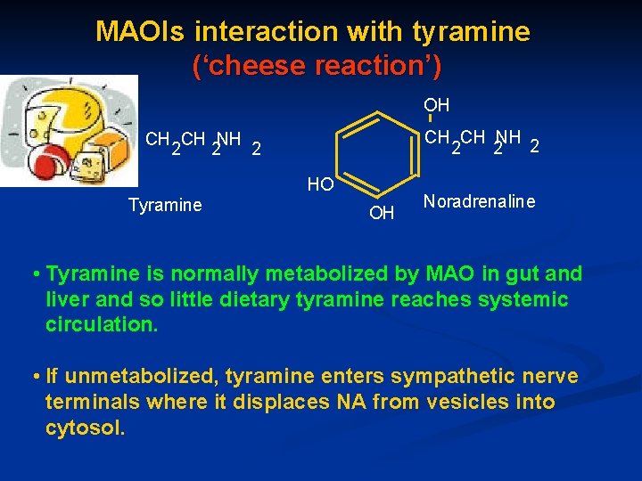 MAOIs interaction with tyramine (‘cheese reaction’) OH CH CH NH 2 2 2 HO