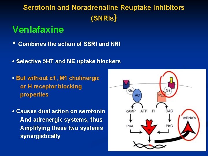 Serotonin and Noradrenaline Reuptake Inhibitors (SNRIs) Venlafaxine • Combines the action of SSRI and