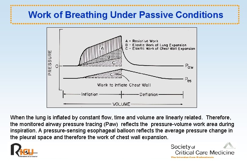 Work of Breathing Under Passive Conditions When the lung is inflated by constant flow,