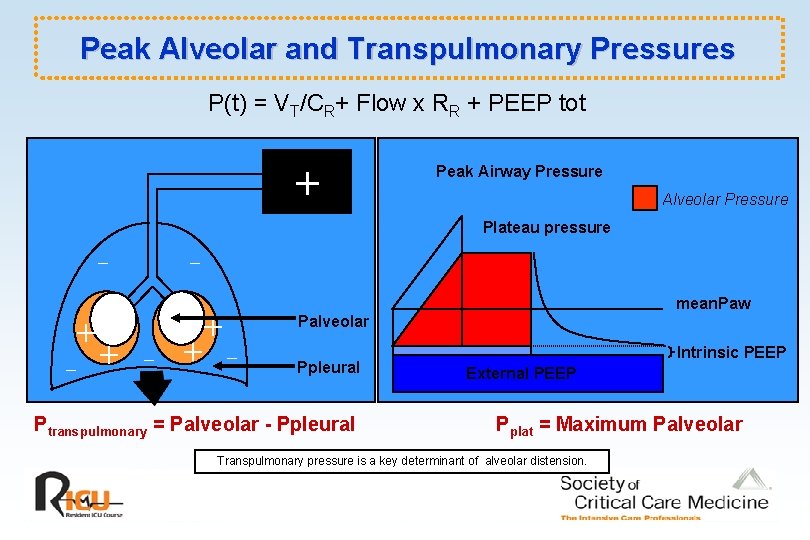 Peak Alveolar and Transpulmonary Pressures P(t) = VT/CR+ Flow x RR + PEEP tot