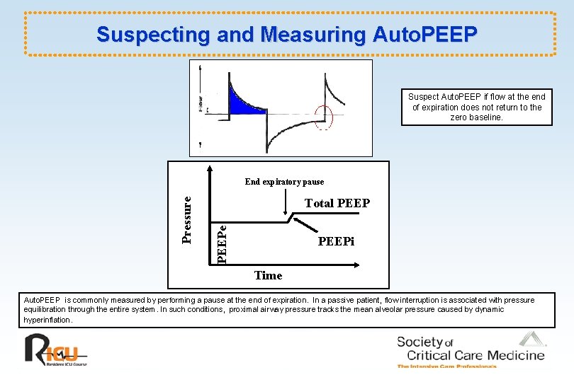 Suspecting and Measuring Auto. PEEP Suspect Auto. PEEP if flow at the end of