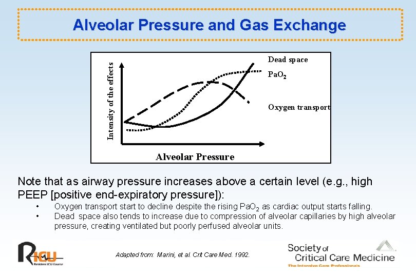 Alveolar Pressure and Gas Exchange Intensity of the effects Dead space Pa. O 2