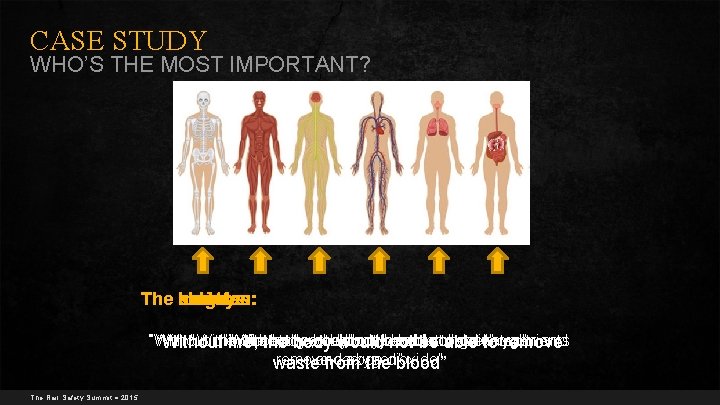 CASE STUDY WHO’S THE MOST IMPORTANT? The kidneys: skeleton: brain: heart: lungs: muscles: “Without