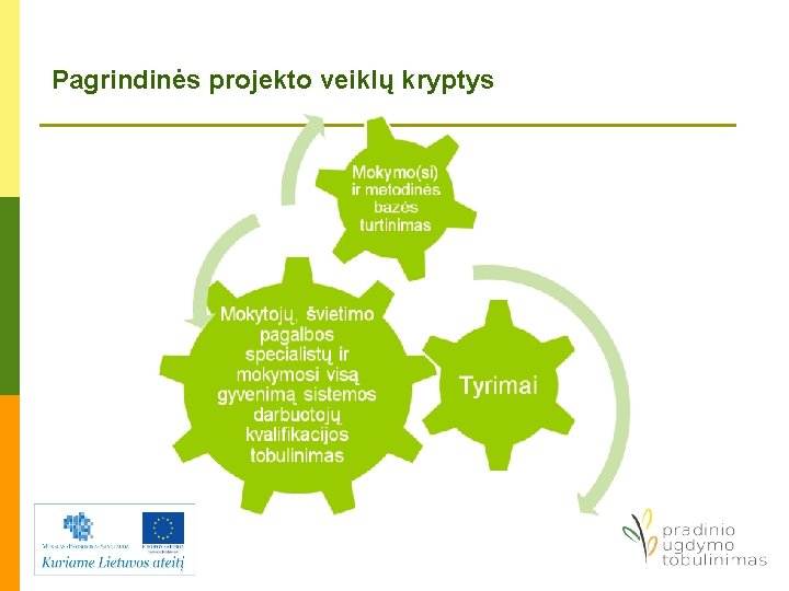 Pagrindinės projekto veiklų kryptys 