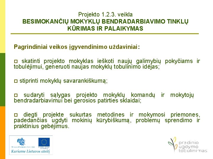 Projekto 1. 2. 3. veikla BESIMOKANČIŲ MOKYKLŲ BENDRADARBIAVIMO TINKLŲ KŪRIMAS IR PALAIKYMAS Pagrindiniai veikos