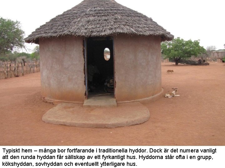 Typiskt hem – många bor fortfarande i traditionella hyddor. Dock är det numera vanligt