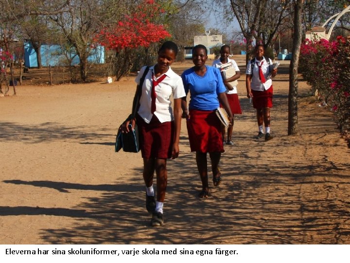 Eleverna har sina skoluniformer, varje skola med sina egna färger. 