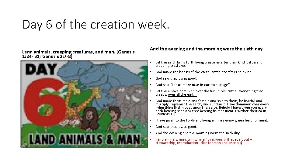 Day 6 of the creation week. Land animals, creeping creatures, and man. (Genesis 1: