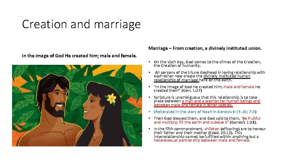 Creation and marriage Marriage – From creation, a divinely instituted union. In the image