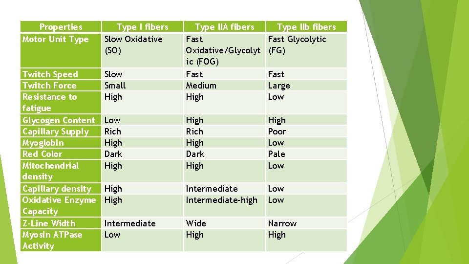 Properties Motor Unit Type I fibers Slow Oxidative (SO) Type IIb fibers Fast Glycolytic