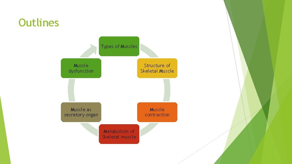 Outlines Types of Muscles Muscle dysfunction Structure of Skeletal Muscle as secretory organ Muscle