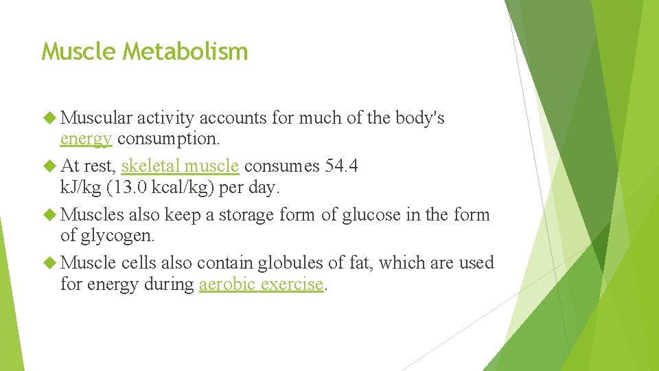 Muscle Metabolism Muscular activity accounts for much of the body's energy consumption. At rest,