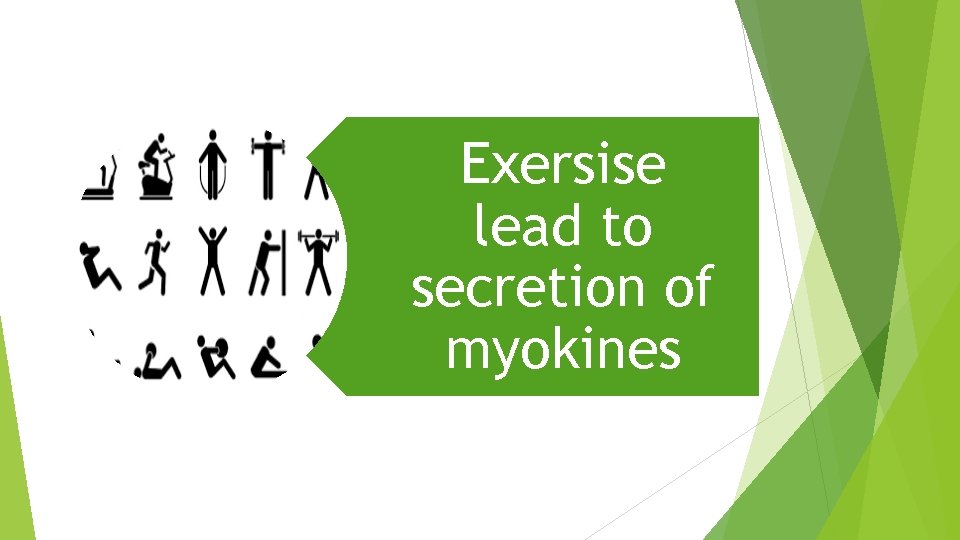 Exersise lead to secretion of myokines 