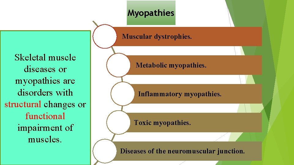 Myopathies Muscular dystrophies. Skeletal muscle diseases or myopathies are disorders with structural changes or