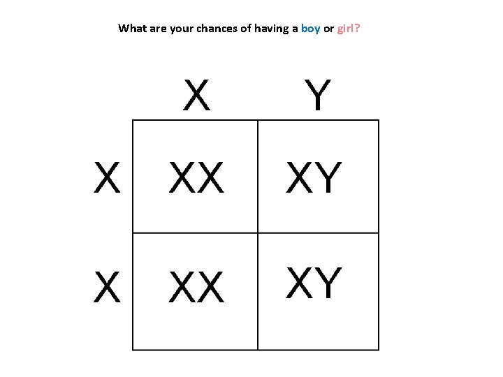 What are your chances of having a boy or girl? 
